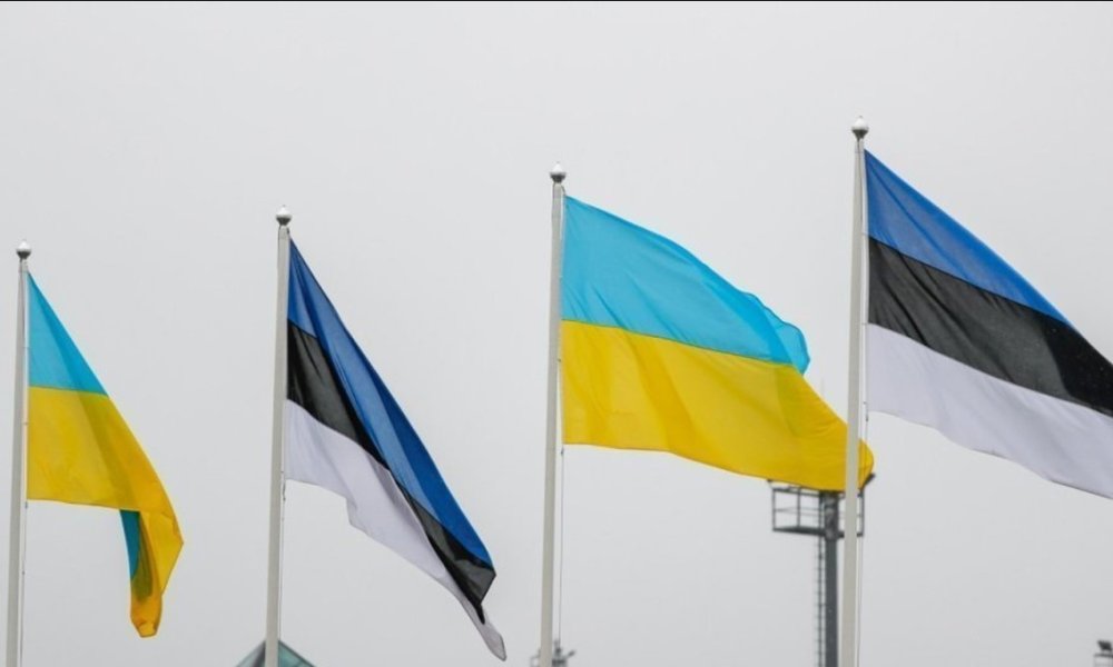 A delegation from Estonia is working on modernizing extracurricular education in the Zhytomyr region