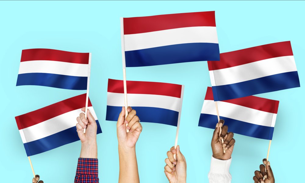 Optimizing the Dutch language learning process: a systems approach and methodology selection