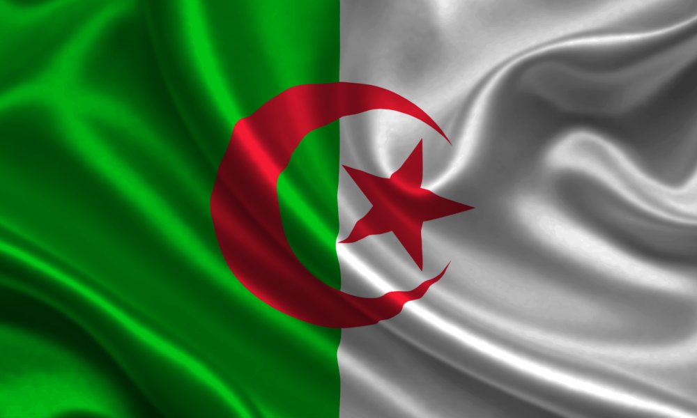 Algeria launches program offering free higher education for ukrainian students