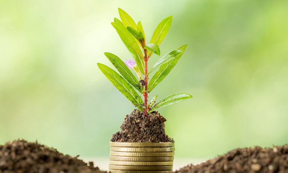 The Ministry of Education updates curricula: energy efficiency to be included in school courses
