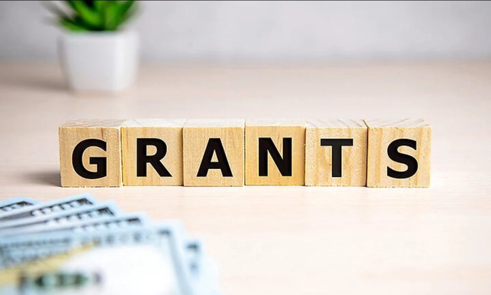 Grants and training for business development within the REMARKET project