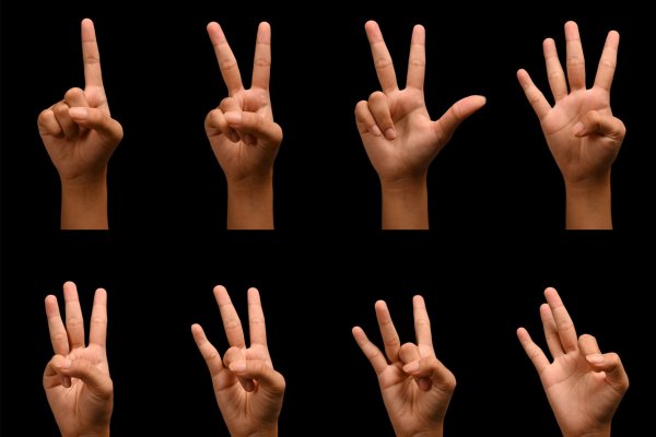 Free sign language courses for volunteers and social sector representatives are starting in Kyiv