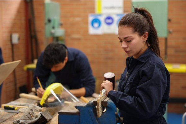 In Ukraine, the introduction of supervisory boards is planned for all institutions of professional pre-higher and vocational-technical education