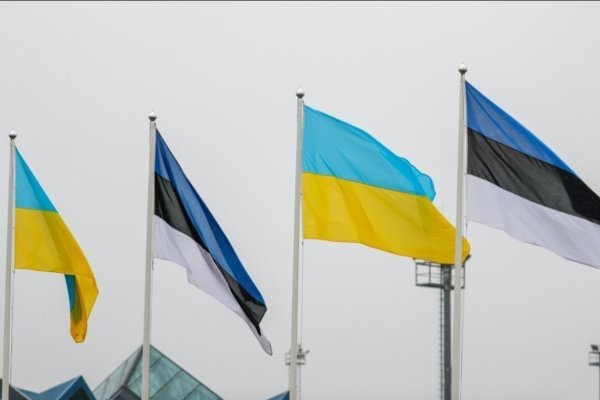 A delegation from Estonia is working on modernizing extracurricular education in the Zhytomyr region