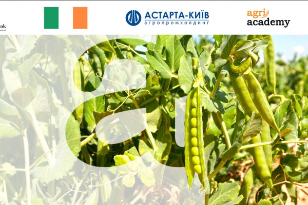 New online course: peas from AgriAcademy and 