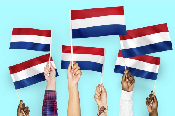 Optimizing the Dutch language learning process: a systems approach and methodology selection