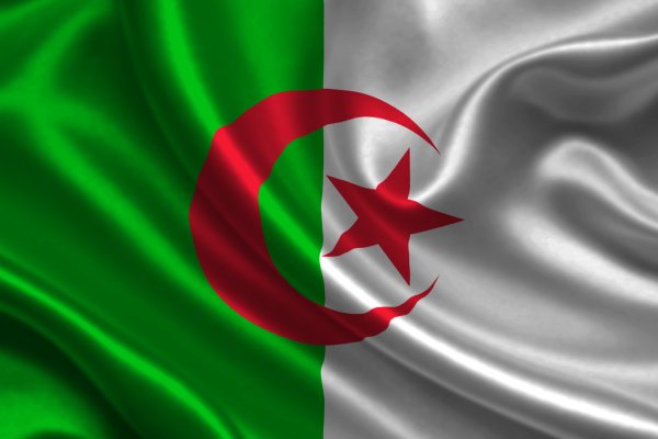 Algeria launches program offering free higher education for ukrainian students